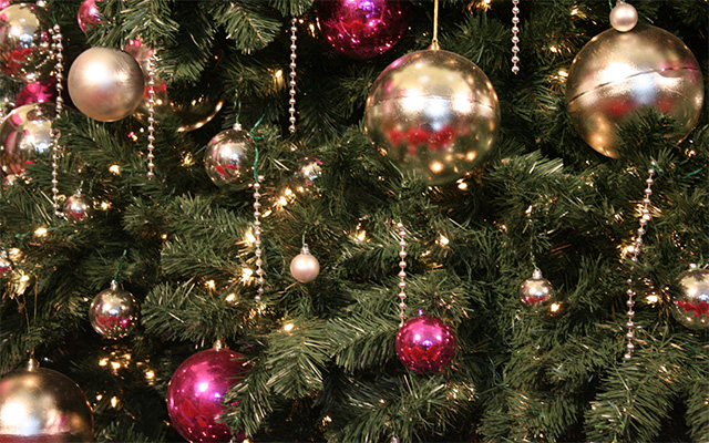 Everyone loves a festive Christmas full of decorations and a tree filled with presents underneath