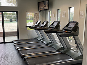 This is an image of the treadmills at the gym.